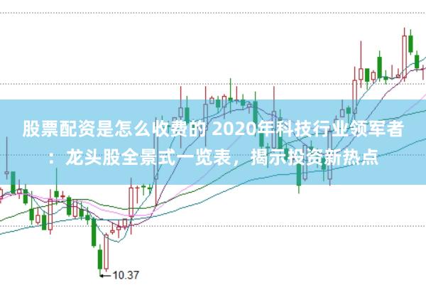 股票配资是怎么收费的 2020年科技行业领军者：龙头股全景式一览表，揭示投资新热点