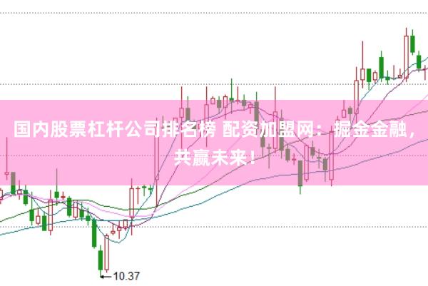 国内股票杠杆公司排名榜 配资加盟网：掘金金融，共赢未来！