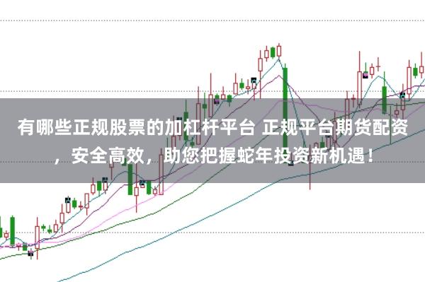 有哪些正规股票的加杠杆平台 正规平台期货配资，安全高效，助您把握蛇年投资新机遇！