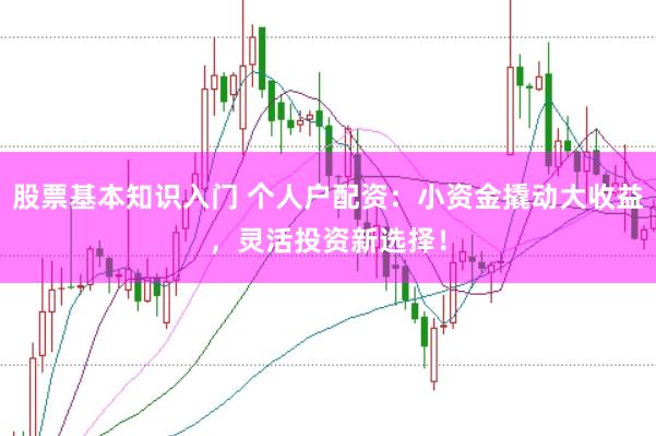 股票基本知识入门 个人户配资：小资金撬动大收益，灵活投资新选择！