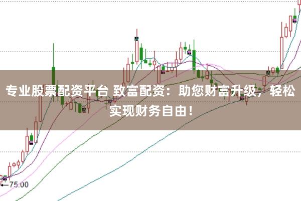 专业股票配资平台 致富配资：助您财富升级，轻松实现财务自由！