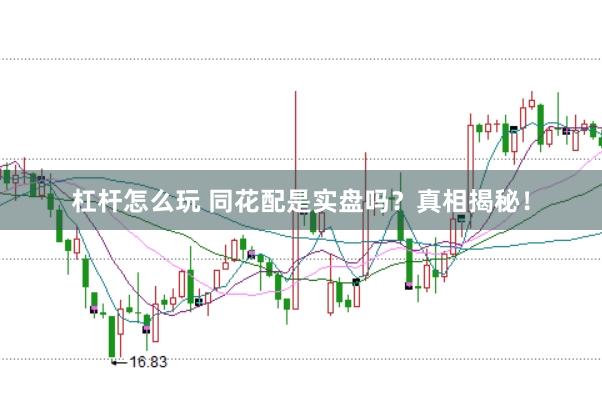 杠杆怎么玩 同花配是实盘吗？真相揭秘！