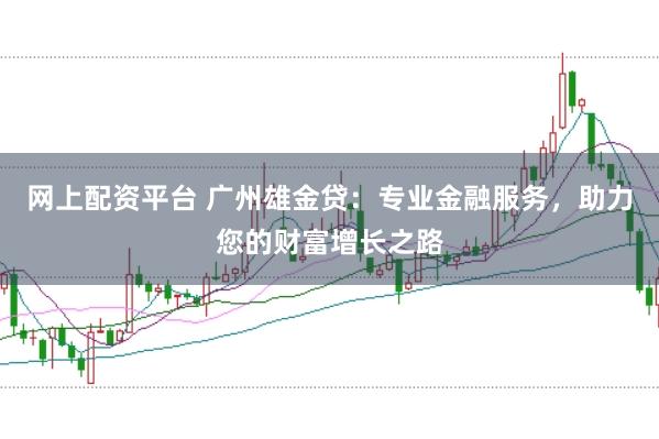 网上配资平台 广州雄金贷：专业金融服务，助力您的财富增长之路