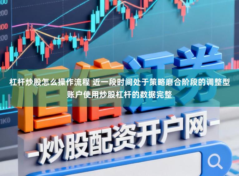 杠杆炒股怎么操作流程 近一段时间处于策略磨合阶段的调整型账户使用炒股杠杆的数据完整