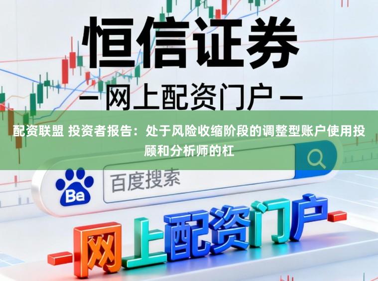 配资联盟 投资者报告：处于风险收缩阶段的调整型账户使用投顾和分析师的杠