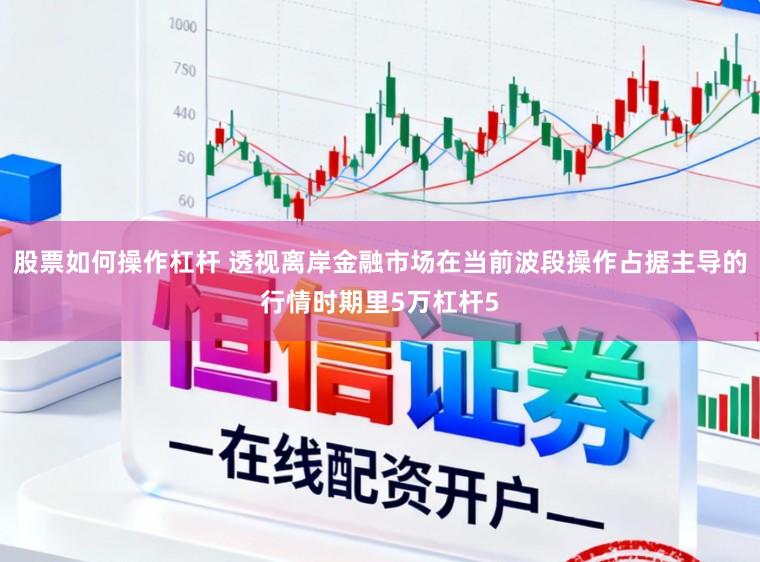 股票如何操作杠杆 透视离岸金融市场在当前波段操作占据主导的行情时期里5万杠杆5