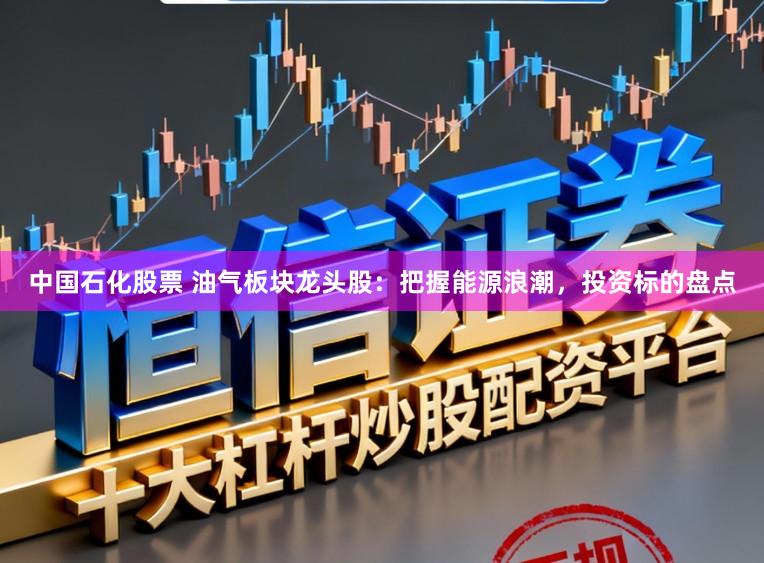 中国石化股票 油气板块龙头股：把握能源浪潮，投资标的盘点
